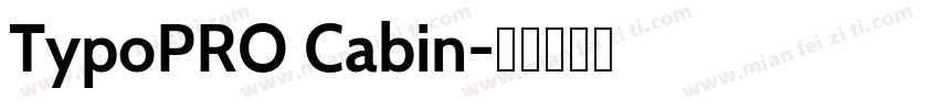 TypoPRO Cabin字体转换